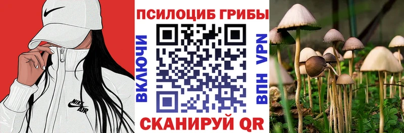 KRAKEN рабочий сайт  Бахчисарай  площадка телеграм  где купить наркотик  Псилоцибиновые грибы Magic Shrooms 