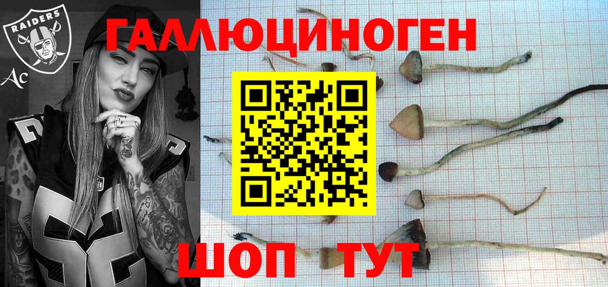 Псилоцибиновые грибы MAGIC MUSHROOMS Бахчисарай